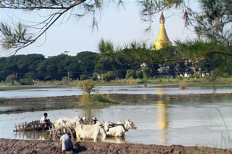 Myanmar, Ava (Inwa), inwa, Walkopedia